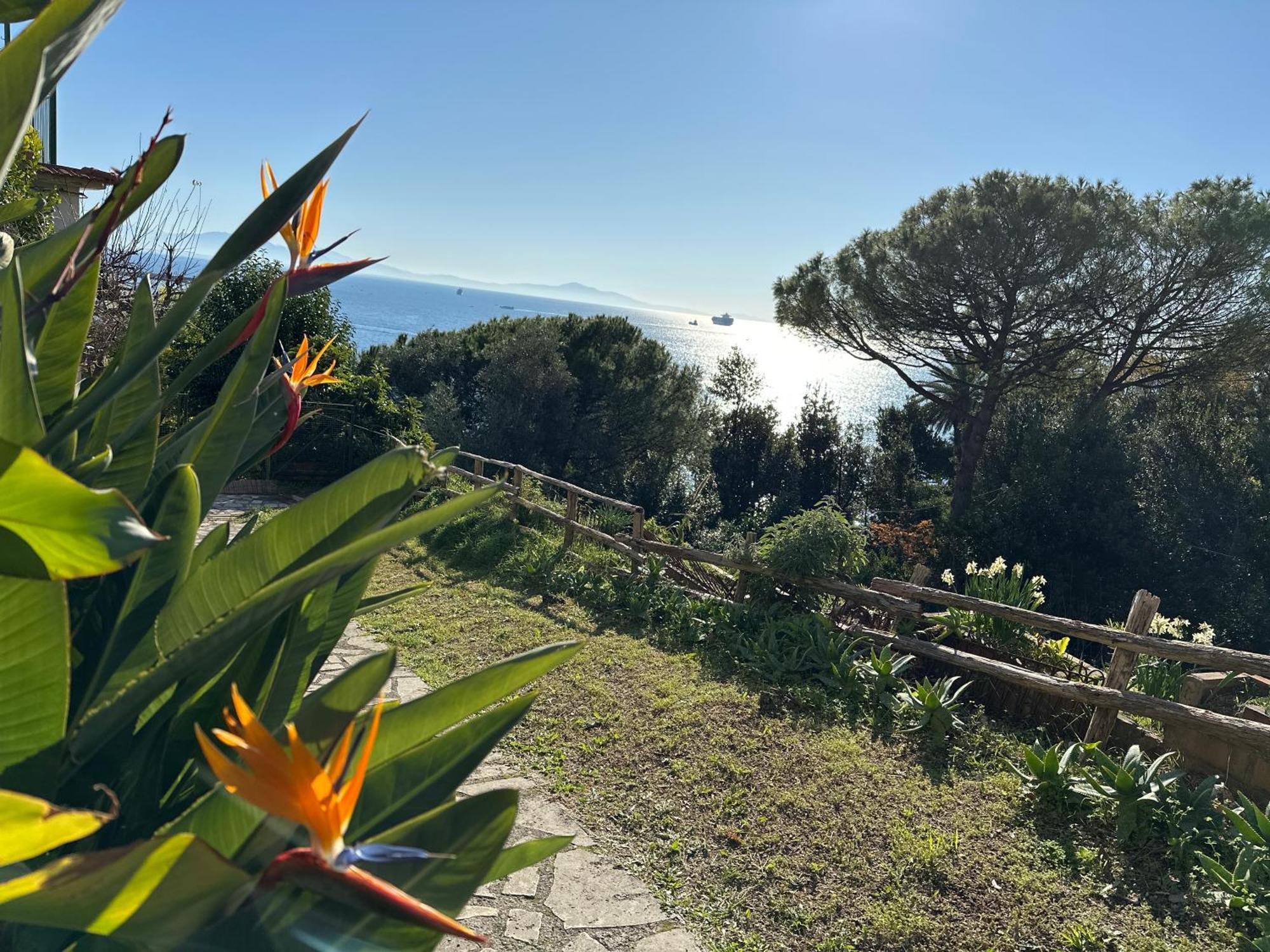 La Casa Di Elena Villa Vietri Dış mekan fotoğraf